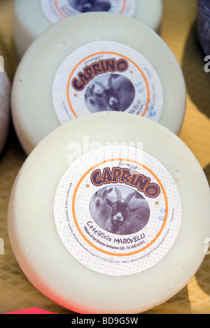 Roues de fromage de chèvre à la vente à un marché de producteurs dans la région connue sous le nom de Garfagnana en Toscane Banque D'Images