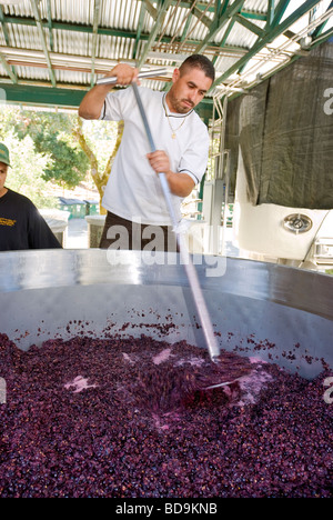 Benziger Family Winery, Glen Ellen, Sonoma Valley, en Californie. Banque D'Images