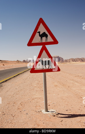 Panneaux d'avertissement et de moutons chameaux, Wadi Rum, Jordanie Banque D'Images