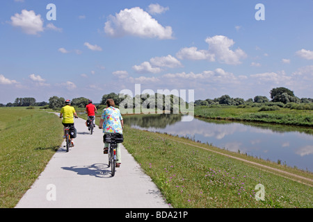 Piste cyclable le long de la rivière Elbe, Basse-Saxe, Allemagne du Nord Banque D'Images