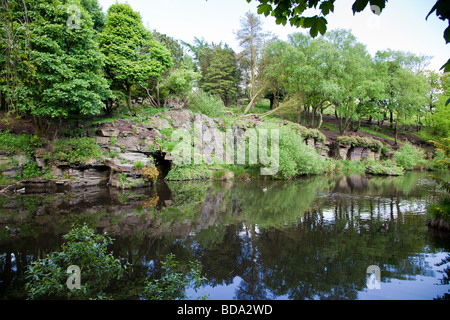 Les Japonais dans le lac, jardins levier Rivington, Lancashire, UK Banque D'Images