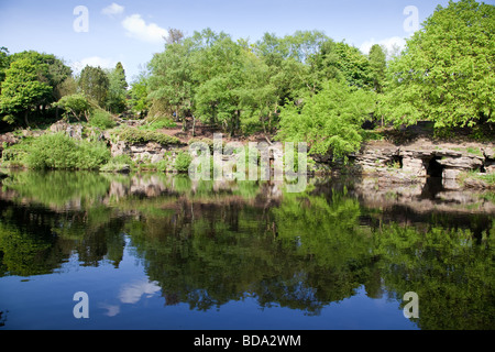 Les Japonais dans le lac, jardins levier Rivington, Lancashire, UK Banque D'Images