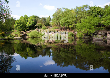 Les Japonais dans le lac, jardins levier Rivington, Lancashire, UK Banque D'Images