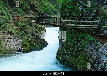 Gorges de Vintgar près de Bled, Slovénie, Gorenjska. Banque D'Images