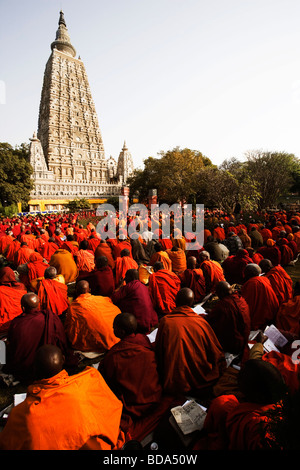 Moines priant devant un temple, Temple de la Mahabodhi, Bodhgaya, Gaya, Bihar, Inde Banque D'Images