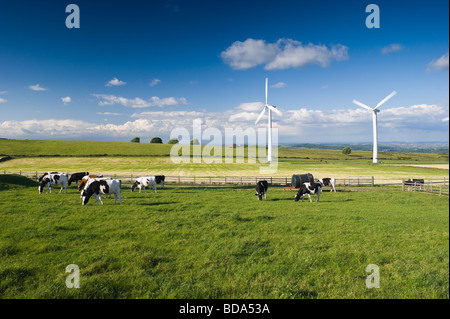 Éoliennes sur Royd Moor au-dessus de Penistone Angleterre Banque D'Images