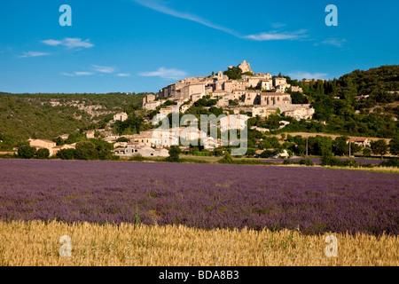 Champ de blé et de lavande sous une colline de Simiane-la-Rotonde, Provence France Banque D'Images