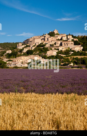 Champ de lavande et de blé sous le village médiéval perché de Simiane-la-Rotonde, Provence, France Banque D'Images