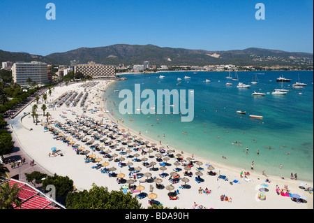 Vue sur la plage principale à Palmanova, la baie de Palma, Côte Sud, Majorque, Îles Baléares, Espagne Banque D'Images