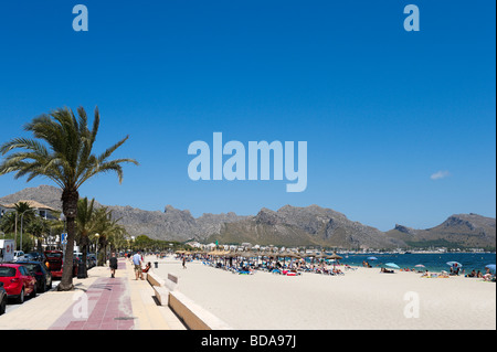 Promenade et plage de Puerto Pollensa, dans la baie de Pollensa, Côte Nord, Majorque, Îles Baléares, Espagne Banque D'Images