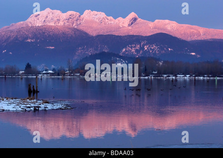 Coucher de soleil sur le pont Golden Ears reflétée dans la rivière Pitt avec troupeau d'oies, Port Coquitlam, British Columbia, Canada Banque D'Images