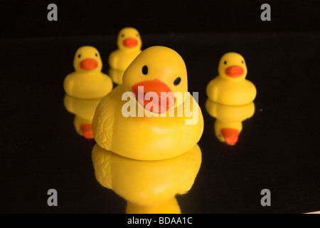 Famille de canards en caoutchouc reflétée dans l'eau - Fond noir Banque D'Images