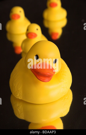 Famille de canards en caoutchouc avec mère devant refléter dans l'eau - Fond noir Banque D'Images