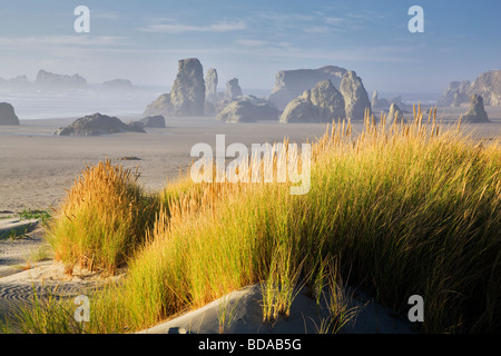 L'herbe des dunes et la mer à Bandon Beach Oregon piles Banque D'Images