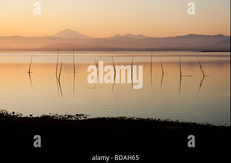 Un vieux piège à poisson saumon vu sur la Lummi Indian Reservation. Bellingham et Mt. Baker peut être vu dans l'arrière-plan. Le lever du soleil. Banque D'Images