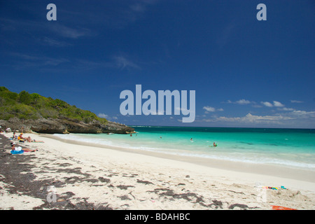 Navio Beach, l'île de Vieques, Puerto Rico Banque D'Images