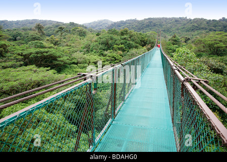 Costa rica monteverde cloud forest national park les randonneurs le long de la forêt tropicale des sky walk l'Amérique latine Banque D'Images