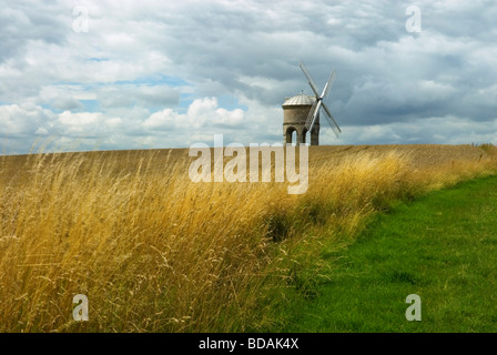 Chesterton moulin situé dans un champ de blé de maturation Banque D'Images