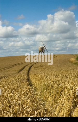 Chesterton moulin situé dans un champ de blé de maturation Banque D'Images