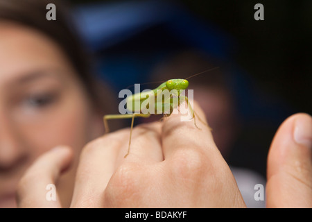 Sulawesi Indonésie réserve forestière de Lambusango Wallacea Opération praying mantis sur les étudiants part Banque D'Images