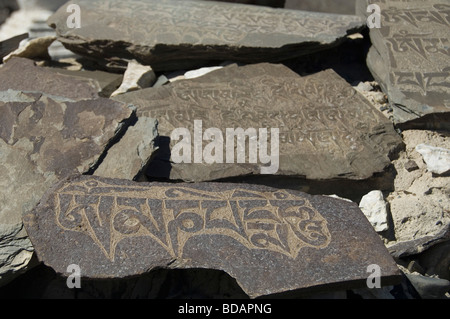 Texte religieux sur des pierres, monastère de Diskit, La Vallée de Nubra, Ladakh, le Jammu-et-Cachemire, l'Inde Banque D'Images