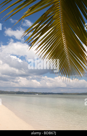 Sulawesi Indonésie Parc National de Wakatobi Hoga Island palm arbre de plus idyllique plage de sable blanc Banque D'Images