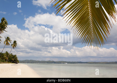 Sulawesi Indonésie Parc National de Wakatobi Hoga Island palm arbre de plus idyllique plage de sable blanc Banque D'Images