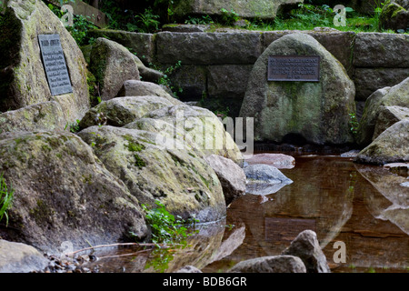 Les plaques qui marque le début du Danube dans Schwarzwald Allemagne . Rivière Breg sources sont les sources du Danube. Banque D'Images