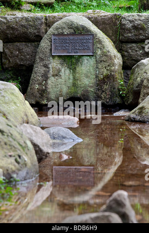 Les plaques qui marque le début du Danube dans Schwarzwald Allemagne . Rivière Breg sources sont les sources du Danube. Banque D'Images