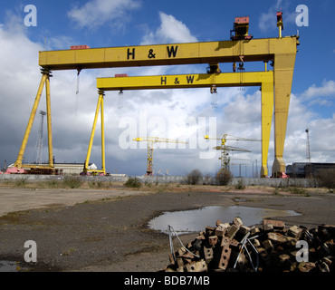 Les grues de chantier naval Harland and Wolff, Samson et Goliath, Belfast, Irlande du Nord, Royaume-Uni. Banque D'Images