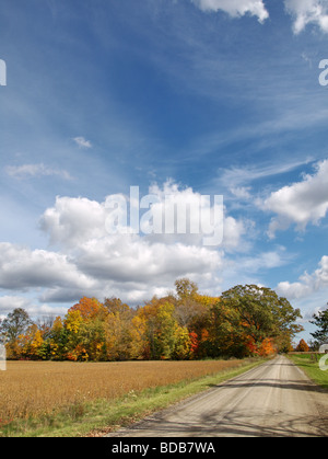 Route de campagne à l'automne les arbres d'or magnifique ciel bleu avec des nuages, Banque D'Images