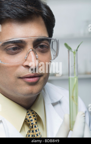 L'examen scientifique d'une usine à tube à essai Banque D'Images