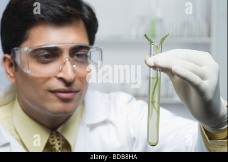 L'examen scientifique d'une usine à tube à essai Banque D'Images