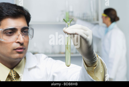 Scientist holding plants in test tube