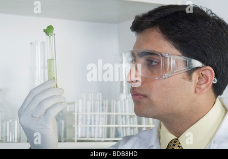 L'examen scientifique d'une usine à tube à essai Banque D'Images