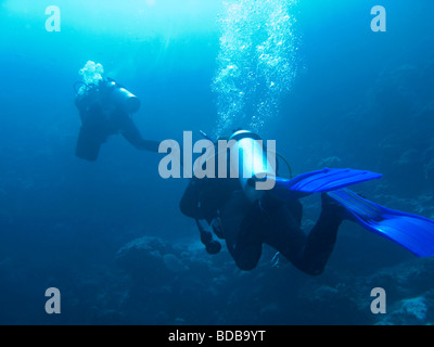 Le Parc National de Wakatobi Sulawesi Indonésie plongée sous-marine natation au-dessus de coraux Banque D'Images