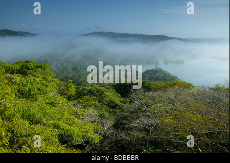 Brume matinale dans la forêt tropicale du parc national de Soberania, République du Panama. Rio Chagres est visible à droite. Banque D'Images