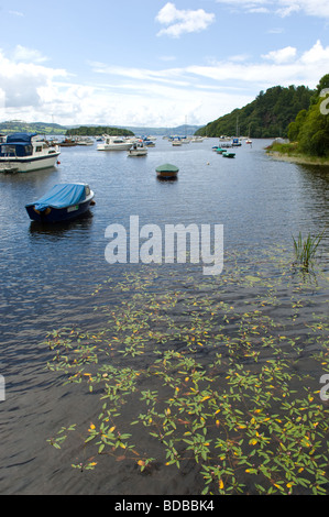 Bateaux amarrés dans une petite baie sur le Loch Lomond à Balmaha marina en Ecosse. Banque D'Images