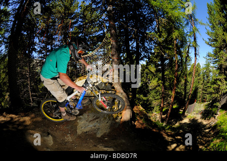 Un vélo de montagne monte un sentier à travers la pente rocheuse à Pila des arbres dans les Alpes italiennes. Banque D'Images