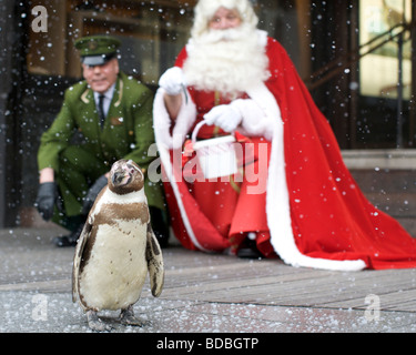 Londres 4 août Pic montrent le Père Noël et ses pingouins ouvrant la Harrods Harrods Londres ministère noël 4 Août 2009 Banque D'Images