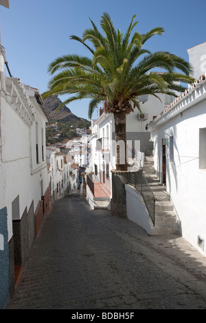 Village blanc Alora. Malaga. Costa del Sol. L'Andalousie. L'Espagne. L'Europe Banque D'Images