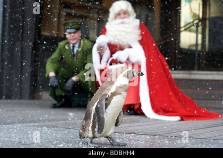 Londres 4 août Pic montrent le Père Noël et ses pingouins ouvrant la Harrods Harrods Londres ministère noël 4 Août 2009 Banque D'Images