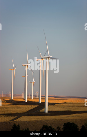 Les éoliennes en exploitation et de champs de blé récolté en jachère. Banque D'Images