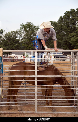 USA Tennessee Putnam County Fair de Cookeville Banque D'Images