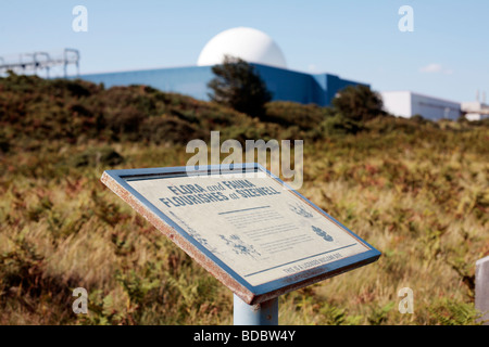 La centrale nucléaire de Sizewell B Suffolk, UK. Banque D'Images