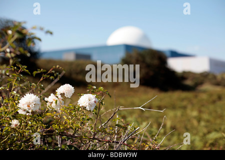 La centrale nucléaire de Sizewell B Suffolk, UK. Banque D'Images