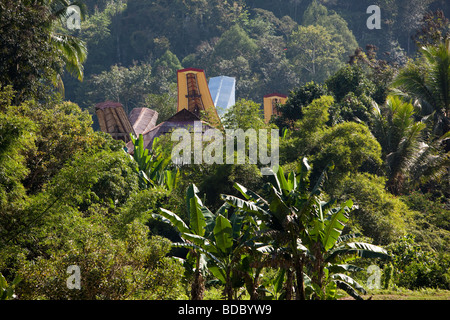 Tana Toraja de Sulawesi Indonésie Makale maison tongkonan traditionnels toits s'élevant au-dessus des arbres Banque D'Images