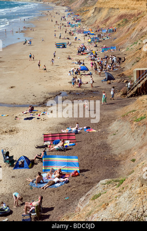 L'été, soleil, Brook Park, Île de Wight, Angleterre, RU, FR. Banque D'Images