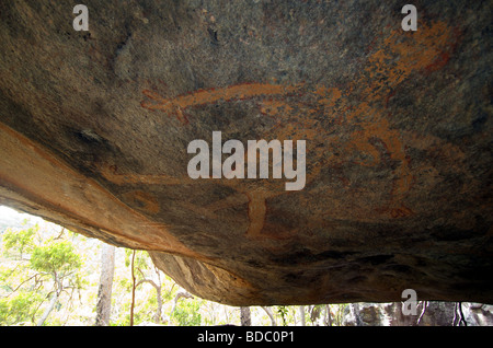 Australian Aboriginal Rock Art - femelle enceinte figure sur le plafond de la grotte. Près de Hope Vale, Queensland Banque D'Images