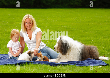 Femme Avec Fille Chihuahua Et Old English Sheepdog Bobtail Pram Buggy Poussette De Bebe En Laisse Se Promener Photo Stock Alamy